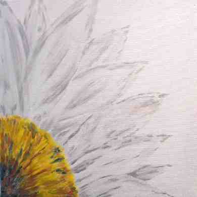 Daisy, Acrylic on 40 x 40cm Frameless Stretched Canvas