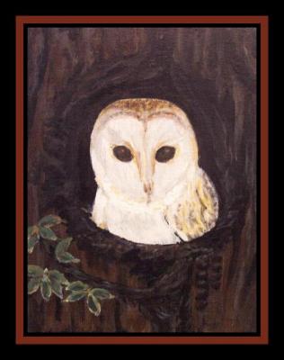 Little Lost Owl, Acrylic on 18 x 24cm Unframed Stretched Canvas
